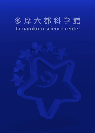 冬のパズル島へようこそ