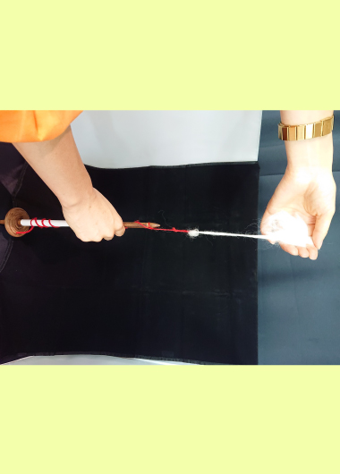 大人のための繊維の科学 羊の毛から毛糸を紡ごう！